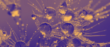 A purple and gold image of splashing droplets